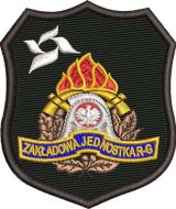 st0765-zakladowa_jednostka_rg_tauron.jpg